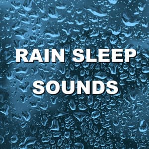 Rain Sleep Sounds - Wind and Rain Sounds