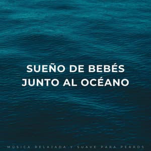 Sueño De Bebés Junto Al Océano: Música Relajada Y Suave Para Perros - Los SubOceaners