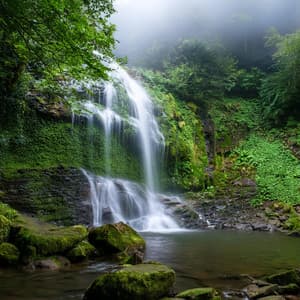 Masaje Relajante: Paisajes Sonoros Tranquilos De Spa - Habitos Saludables