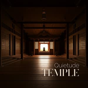 Quietude Temple: Embrace the Stillness, Release the Stress, and Find Your Balance - Music Body and Spirit