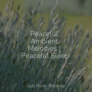 Peaceful Ambient Melodies | Peaceful Sleep - Anxiety Relief