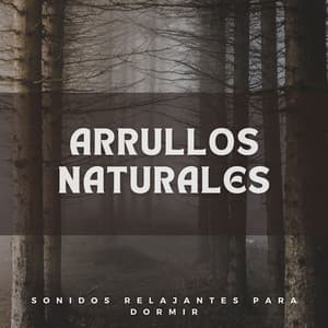 Arrullos Naturales: Sonidos Relajantes Para Dormir - La Naturaleza Del Sueño