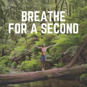 Breathe for a Second - Zen Garden Secrets