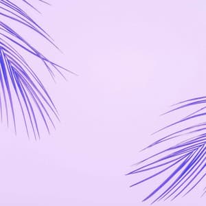 Echoes of Private Monday - lofi