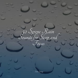 50 Serene Rain Sounds for Sleep and Focus - Music to Relax in Free Time