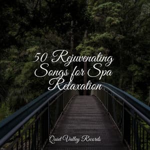 50 Rejuvenating Songs for Spa Relaxation - Natural Rain Sounds for Sleeping