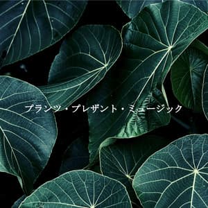 プランツ・プレザント・ミュージック - Music for Focus