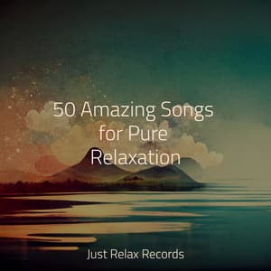 50 Amazing Songs for Pure Relaxation - Forest Sounds