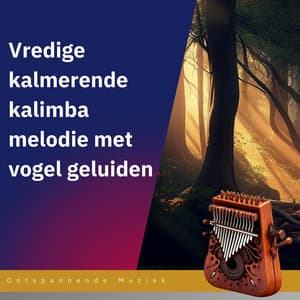 Vredige kalmerende kalimba melodie met vogel geluiden - Perfect voor slaap en ontspanning - Ontspannende Muziek