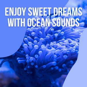 2021 Enjoy Sweet Dreams with Ocean Sounds vol. 2 - Ocean Sounds