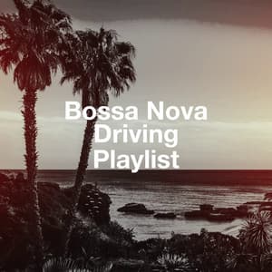 Bossa Nova Driving Playlist - The Cocktail Lounge Players