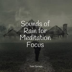 Sounds of Rain for Meditation Focus - Rain Spa