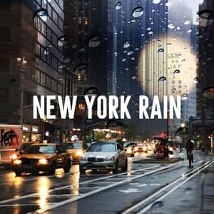 New York Rain - Nature Sounds Lab