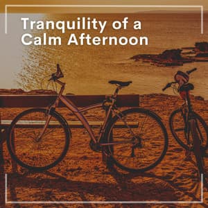 Tranquility of a Calm Afternoon - Best Relaxing Music
