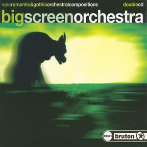 Big Screen Orchestra - Paul Brian Hart