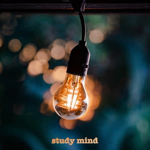 Study Mind - Lo-Fi for Studying