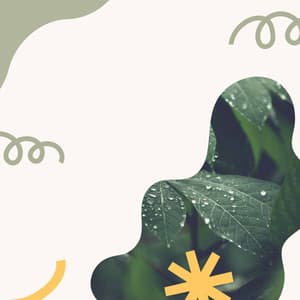 Music for Jazzy Favorites - Música para Cocinar Playlists