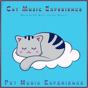 Cat Music Experience: Relaxing Pet Music for Cat Anxiety - Cat Music Experience