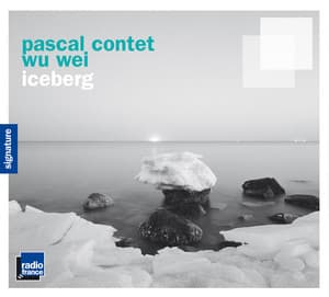 Contet & Wei: Iceberg - Pascal Contet