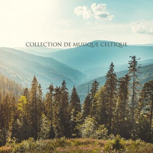 Collection de musique celtique et relaxation profonde: Fond paisible et oasis de nature - Nature Académie