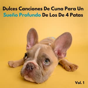 Dulces Canciones De Cuna Para Un Sueño Profundo De Los De 4 Patas Vol. 1 - Flor de Loto