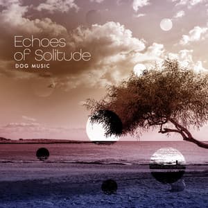 Echoes of Solitude - Dog Music