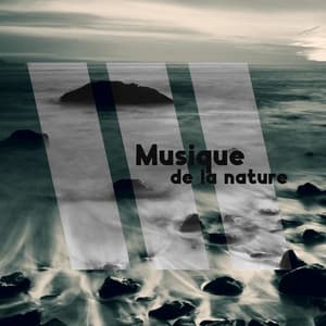 Chant des oiseaux et musique de la nature: Repos, Détente, Bien être - Musique apaisante de fond new age