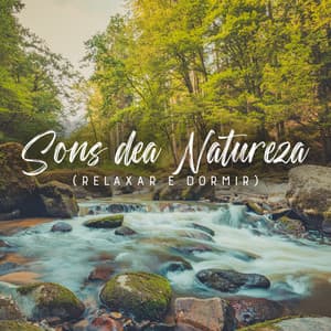 Sons dea Natureza - Hipnose Natureza Sons Coleção