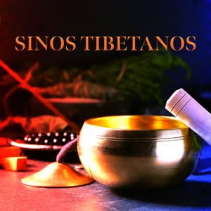 Sinos Tibetanos - Budismo Tibetano Academia