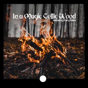 In a Magic Celtic Wood: Relaxing Fairy Tales - Calming Melodies Project