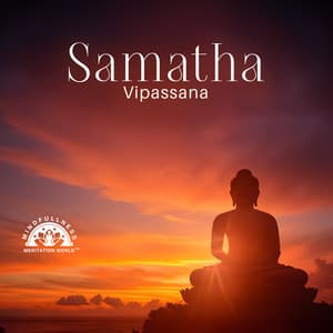 Samatha Vipassana: Buddhist Meditation - Mind Control, Asian Zen, Mantra Yoga, Inhale and Exhale - Mindfullness Meditation World