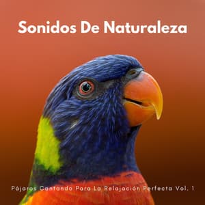 Sonidos De Naturaleza: Pájaros Cantando Para La Relajación Perfecta Vol. 1 - Los Pájaros Cantores