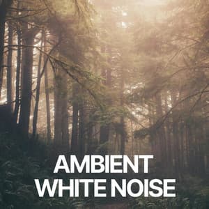 Ambient White Noise - Ambient Nature White Noise
