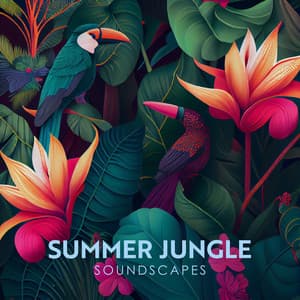 Summer Jungle Soundscapes: Exotic Woodland Calming Noises - Mothers Nature Music Academy