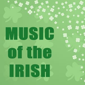 Music of the Irish - Irish Music Duet
