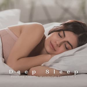 Deep Sleep: Relaxing Ambient Wonderful Tunes Vol. 1 - Sleep Miracle