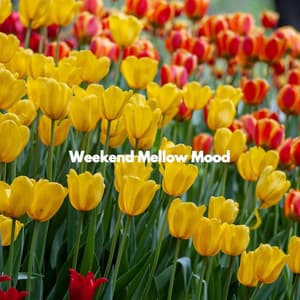 Weekend Mellow Mood - Quiet Jazz & Coffee