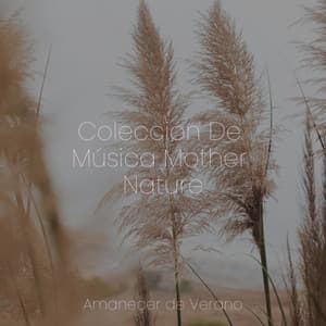 Colección De Música Mother Nature - Guided Meditation