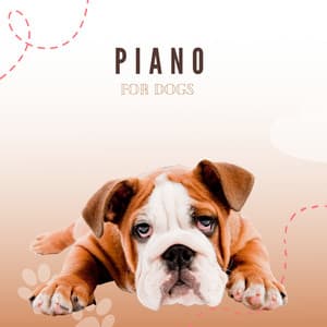 Piano For Dogs - Pet Music Therapy