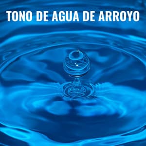 Tono De Agua De Arroyo - Banco de sonidos de agua