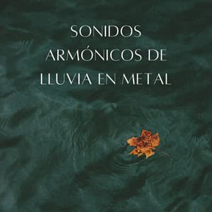 Sonidos Armónicos De Lluvia En Metal - Ejemplo de biblioteca de lluvia