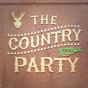 The Country Party - American Country Hits