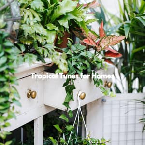Tropical Tunes for Homes - Summer Jazz Relax