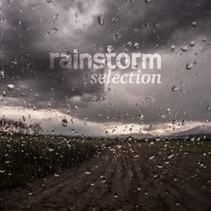 Rainstorm Selection - A Sudden Rainstorm