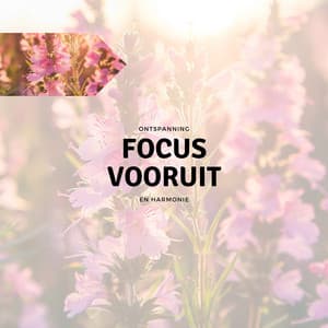 Focus Vooruit - Ontspanning en Harmonie