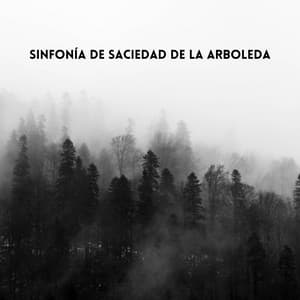 Sinfonía De Saciedad De La Arboleda - El Proyecto Naturaleza