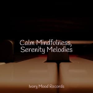 Calm Mindfulness, Serenity Melodies - Ivory Mood