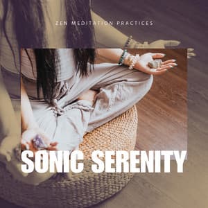 Zen Meditation Practices - Sonic Serenity