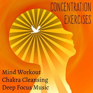 Concentration Exercises: Mind Workout Chakra Cleansing Deep Focus Music with Natural Instrumental New Age Sounds - Relaxation Study Music