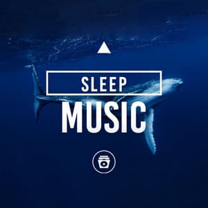 Sleep Music - Sounds Of The Sea